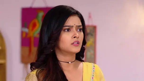 Rekha Decides to Search for Sita