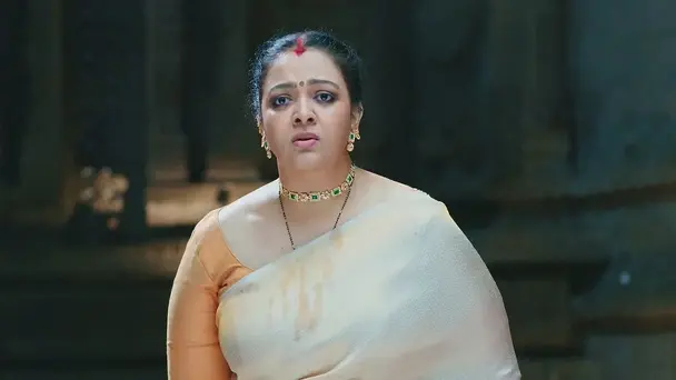 Bhargavi's Crimes Shock Seetha