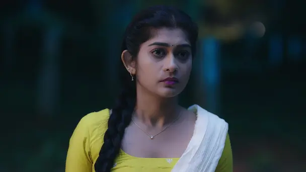 Adi Fights a Few Goons for Lakshmi