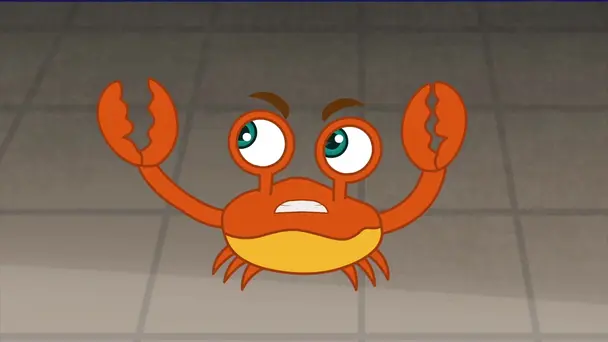 The Car Race: Chota Small Shark Joins In