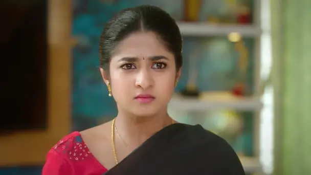 Chinnan Siru Kiliye - February 02, 2026 - Webisode