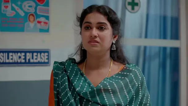 Surya Comforts Padmini