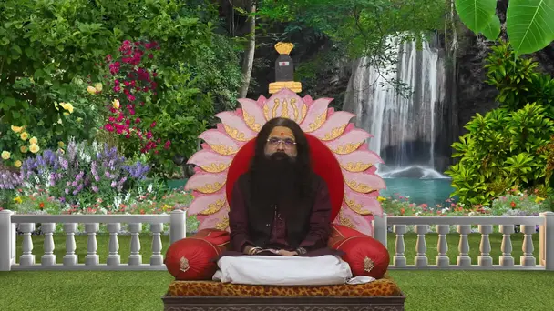 The Divine Form of Lord Krishna