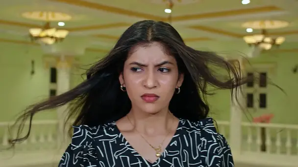 Seethamma Escapes from Ananya