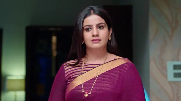 Mahalakshmi Plans a Family Cricket Match