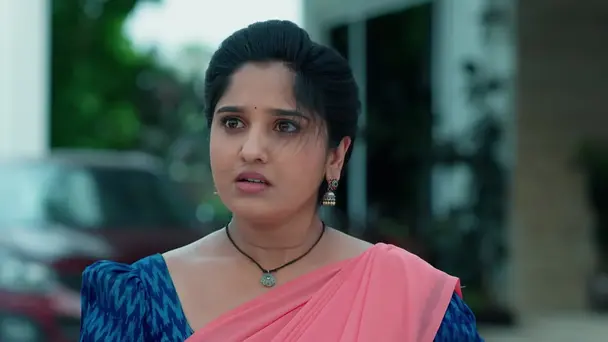Ramadevi Tries to Destroy a Snake's Nest