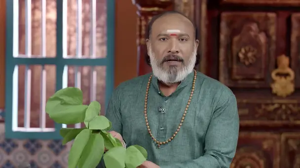 Olimayamana Ethirkaalam - June 12, 2026 - Recipe