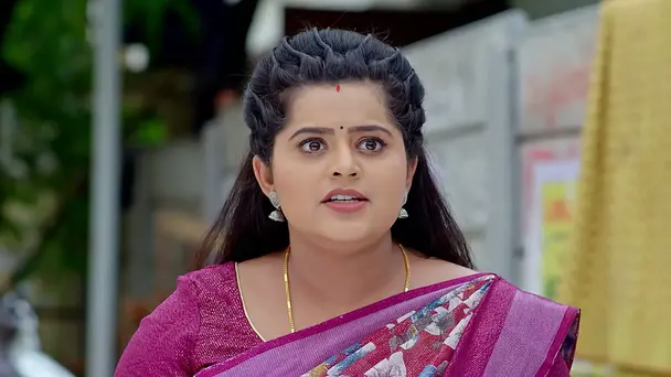 Pallavi Catches the Real Thief