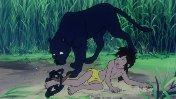 Episode 8 - Sorry Baloo