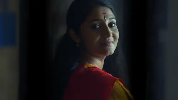 The flamboyant Ravi Varman returns - Neeyum Njanum