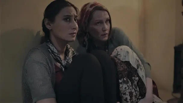 The Countdown Begins