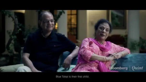 Episode 1 - Pursuits By Skoda - Blue Tokai