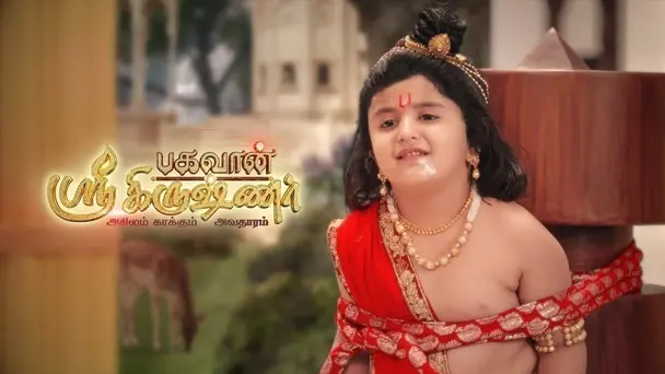 Bhagavan Sree Krishnar