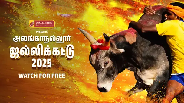 Jallikattu 2025