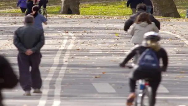 Are Happy People Healthier?