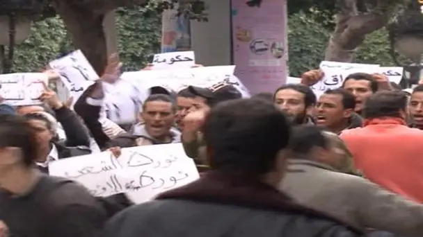 Effects of the Arab Spring