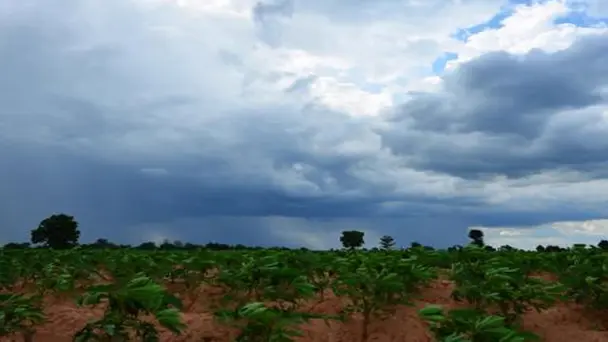 Global Impact:  El Nino Vs. La Nina