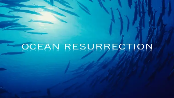 Ocean Resurrection