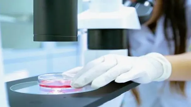 Higher Education For The Common Good