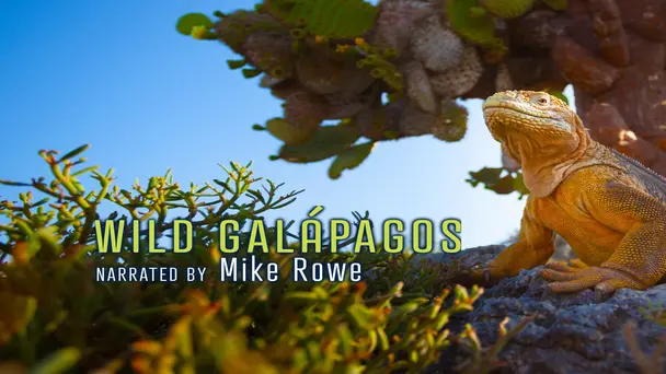 Part 1: In The Grip of the Ocean