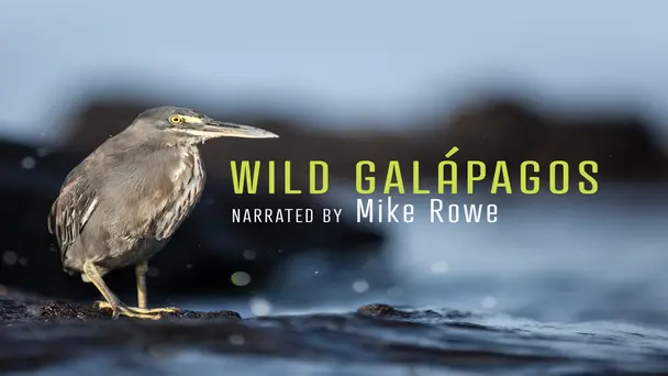 Part 2: Trapped In Paradise