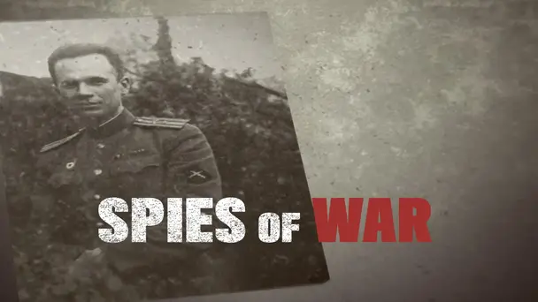 The Spy Who Saved the World