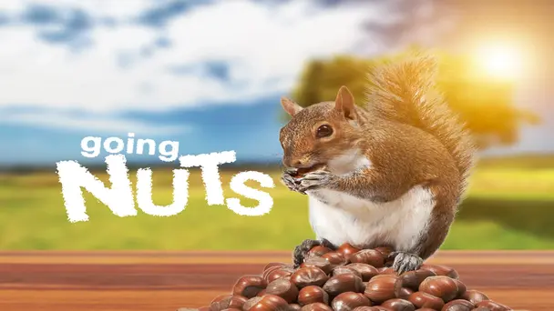 Going Nuts: Tales from Squirrel World