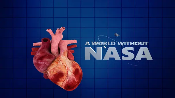 Think NASA is Only for the Stars?