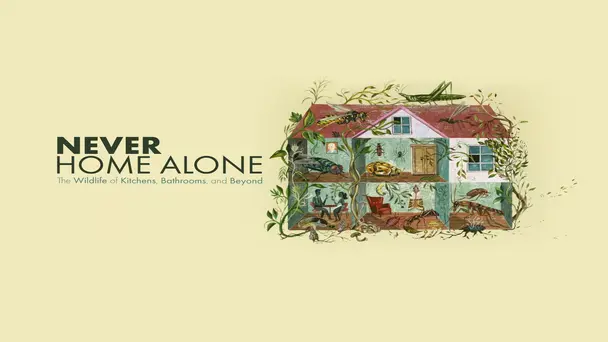 Never Home Alone: The Wildlife of Kitchens, Bathrooms, and Beyond