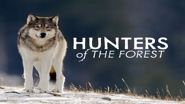 Hunters of the Forest