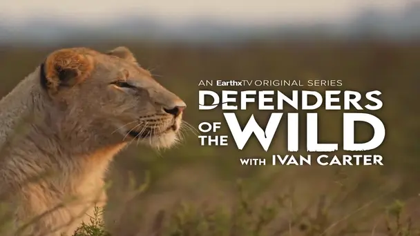 The Once and Future Kings