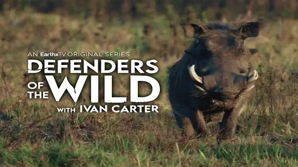 Delta Defenders: Poachers Beware!