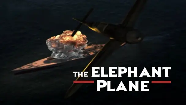 The Elephant Plane: Part Two