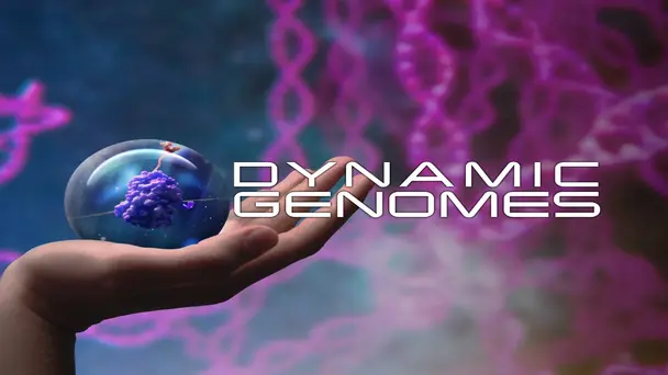 Dynamic Genomes