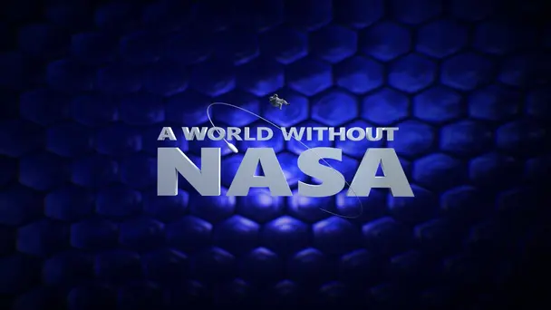 A World Without NASA