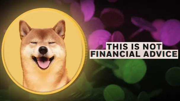 This Is Not Financial Advice
