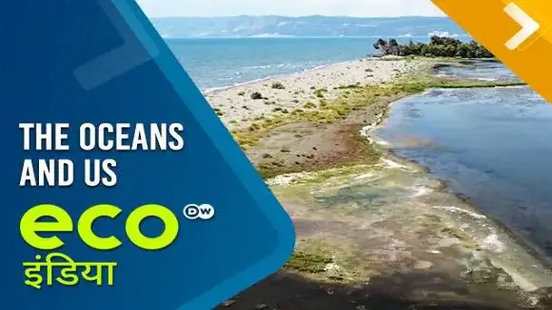 The Oceans And Us