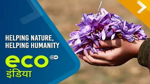 Helping Nature, Helping Humanity