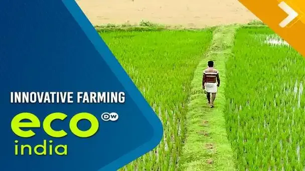 Innovative Farming