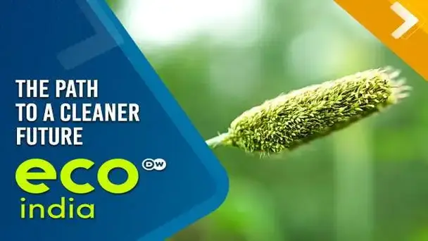 The Path To A Cleaner Future