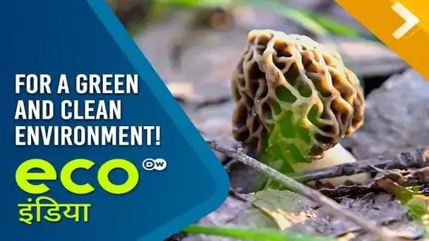 For A Green And Clean Environment!