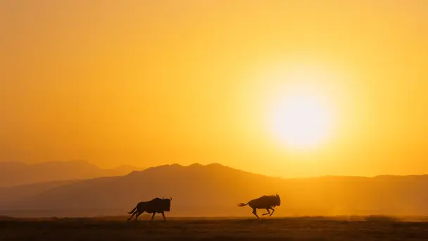 A Perfect Planet S1 E2