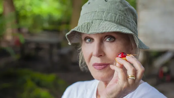 Joanna Lumley's Spice Trail Adventure S1 E1