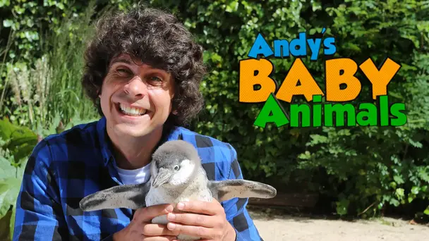 Andy's Baby Animals