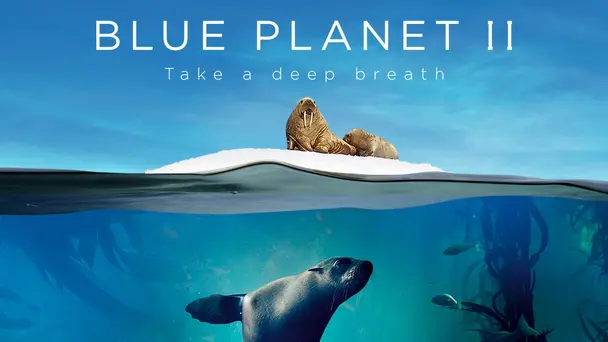 Blue Planet II