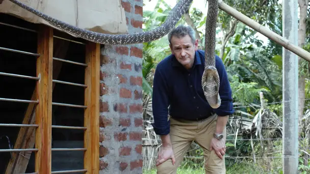 Alexander Armstrong in Sri Lanka S1 E3