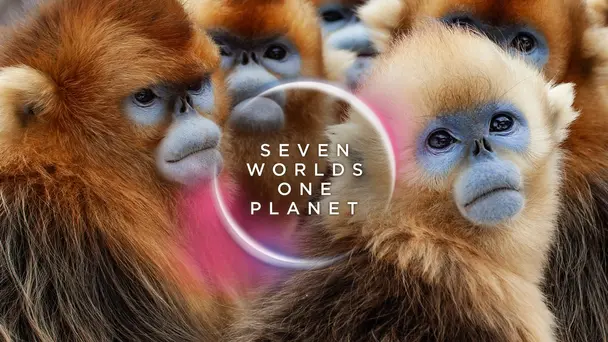 Seven Worlds, One Planet