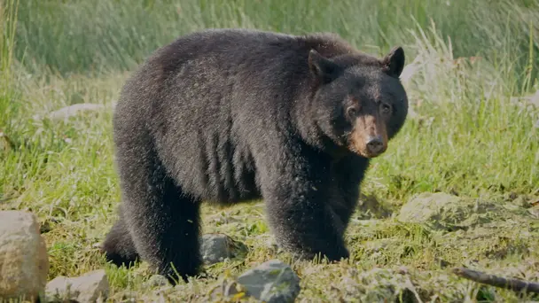 Andy's Global Adventures S1 E4