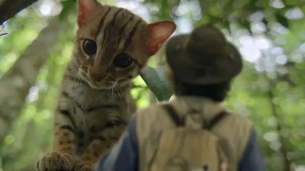 Andy's Global Adventures S1 E3