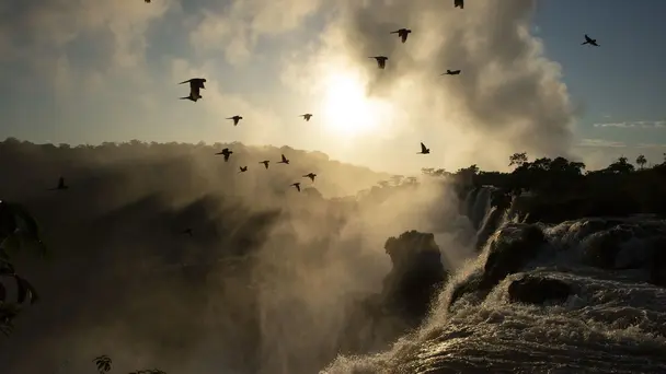 Seven Worlds, One Planet S1 E3